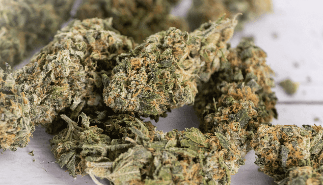 microseeds-in-medizinischen-cannabisblueten