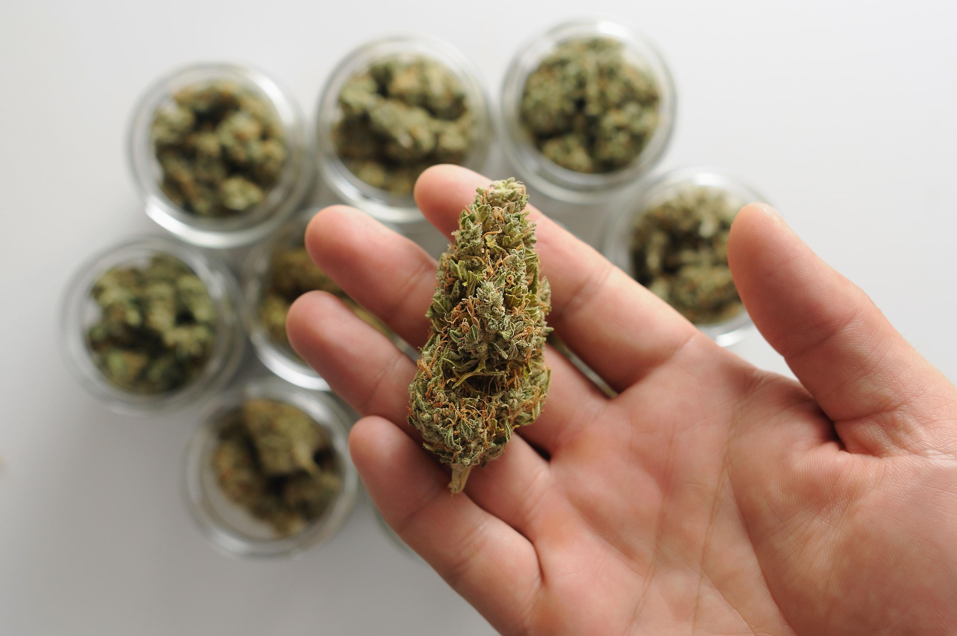 Ratgeber medizinisches Cannabis auf Rezept - flowzz.com