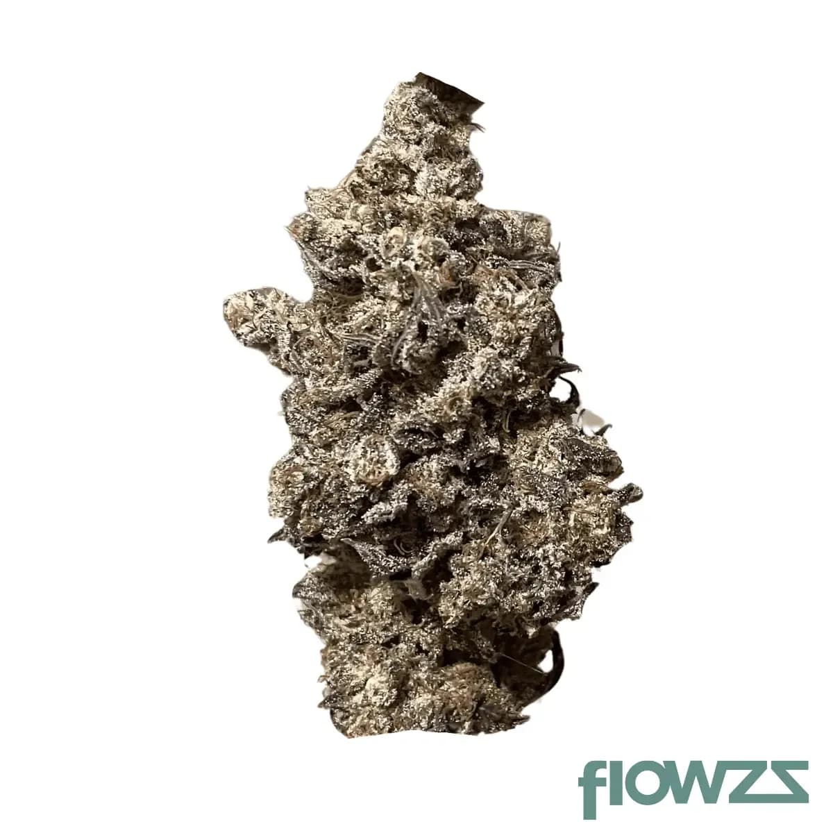 remexian-27-1-gjy-mun-munyunz