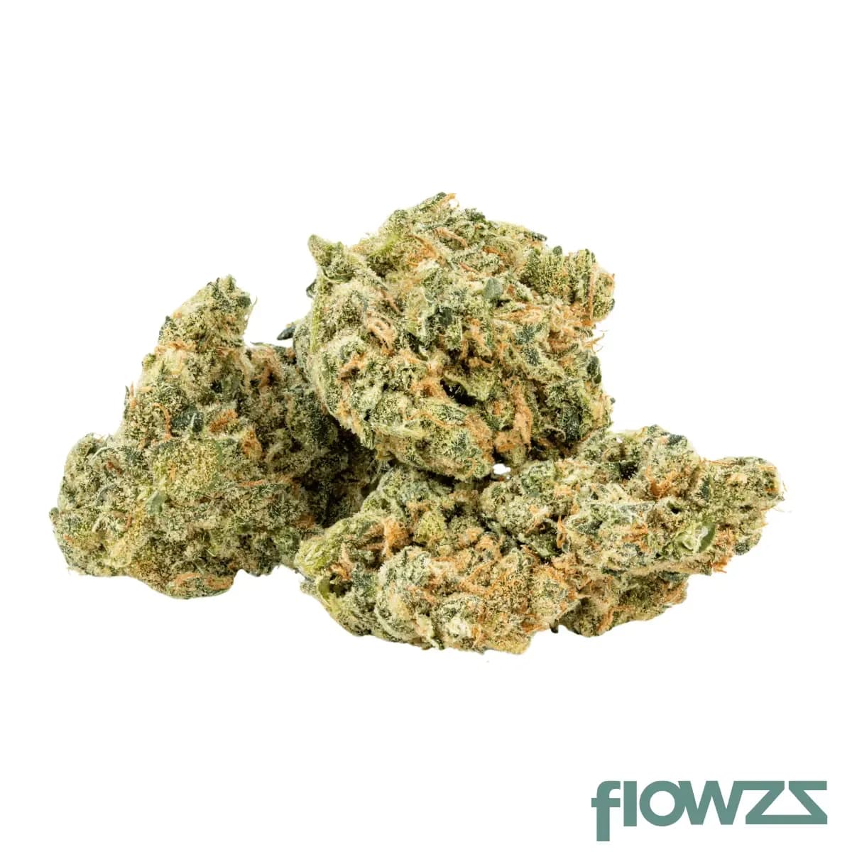 amici-26-1-ul-ultra-limelight