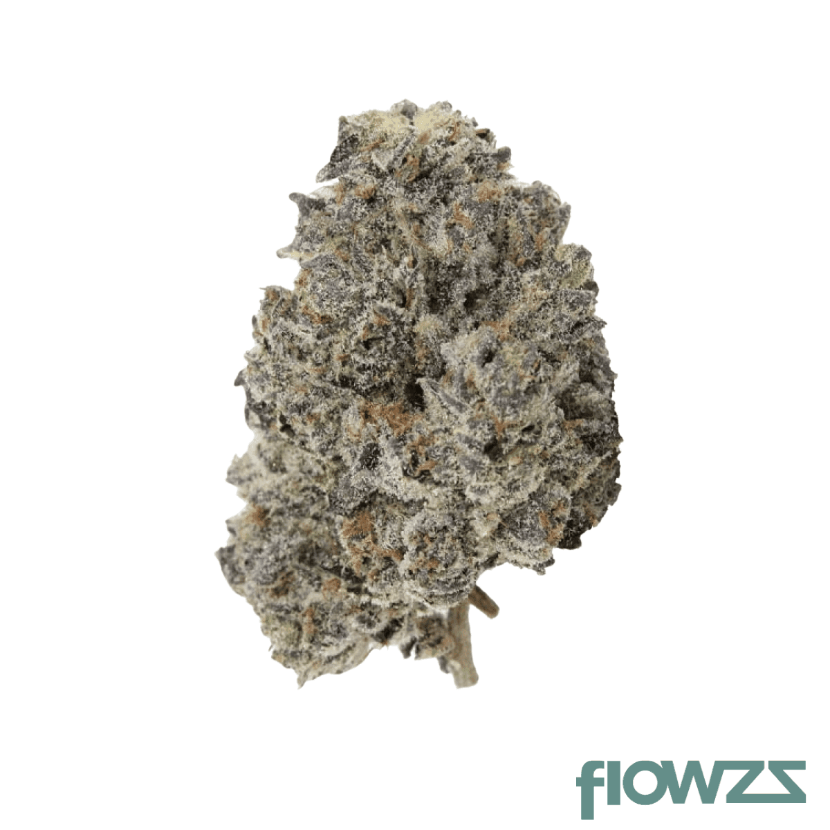 omg-30-1-iml-plp-platinum-pave