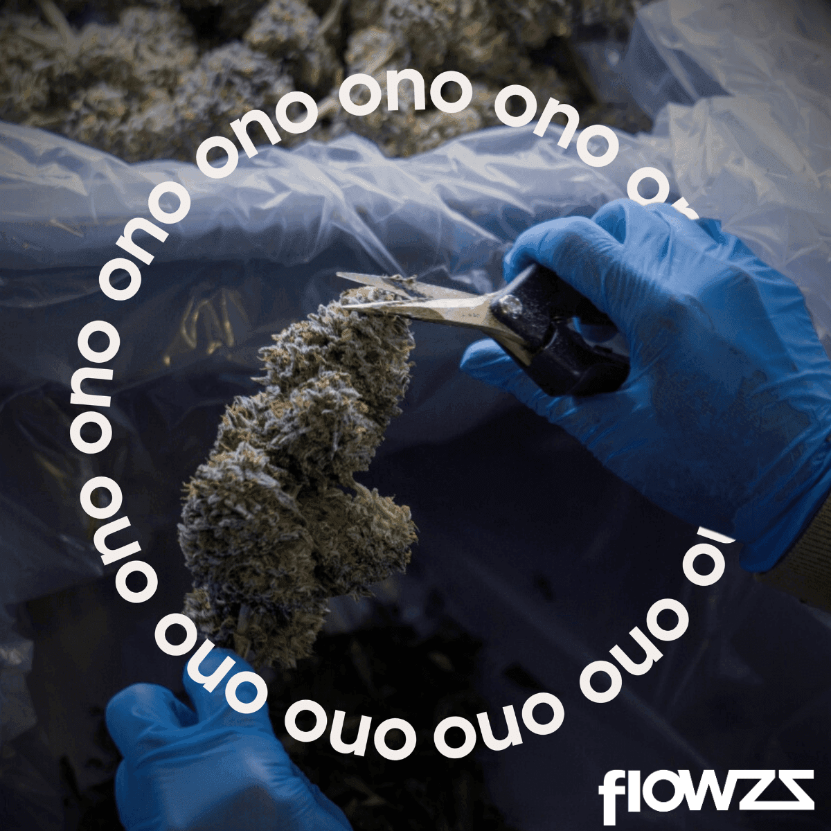 ono-astrono-25-1-rainbow-pie-6