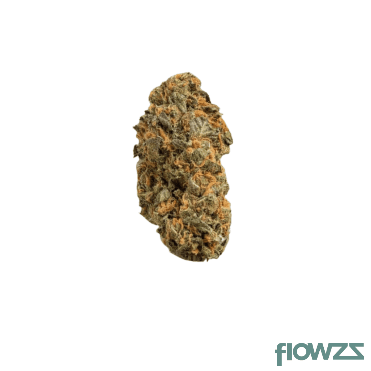 remexian-prt-30-1-mokums-tulip