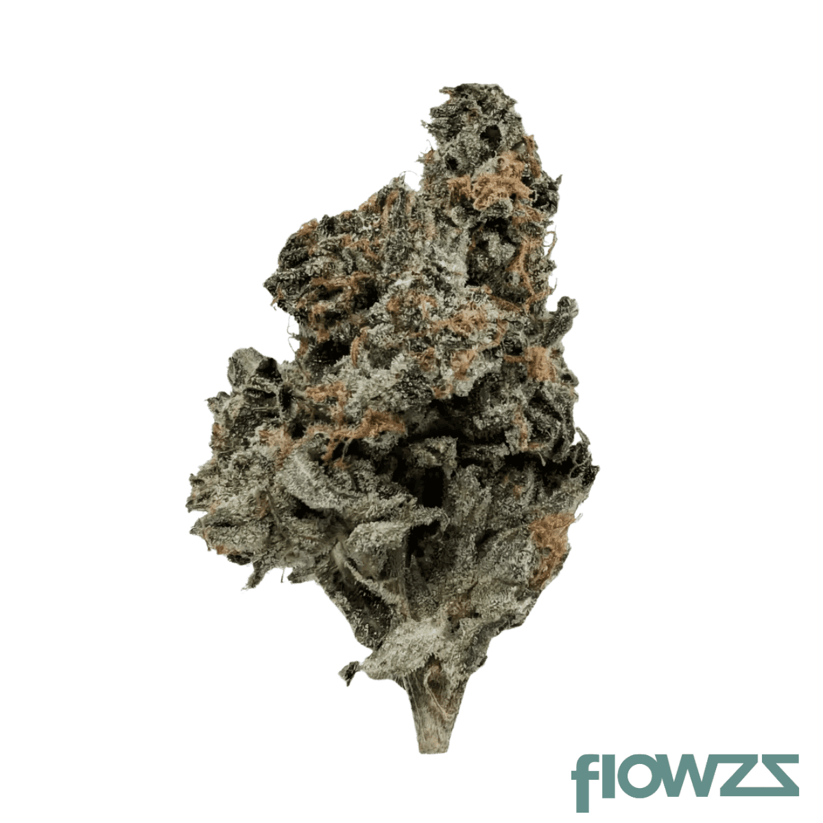 abby-leaf-24-1-ffc-frosted-fruit-cake
