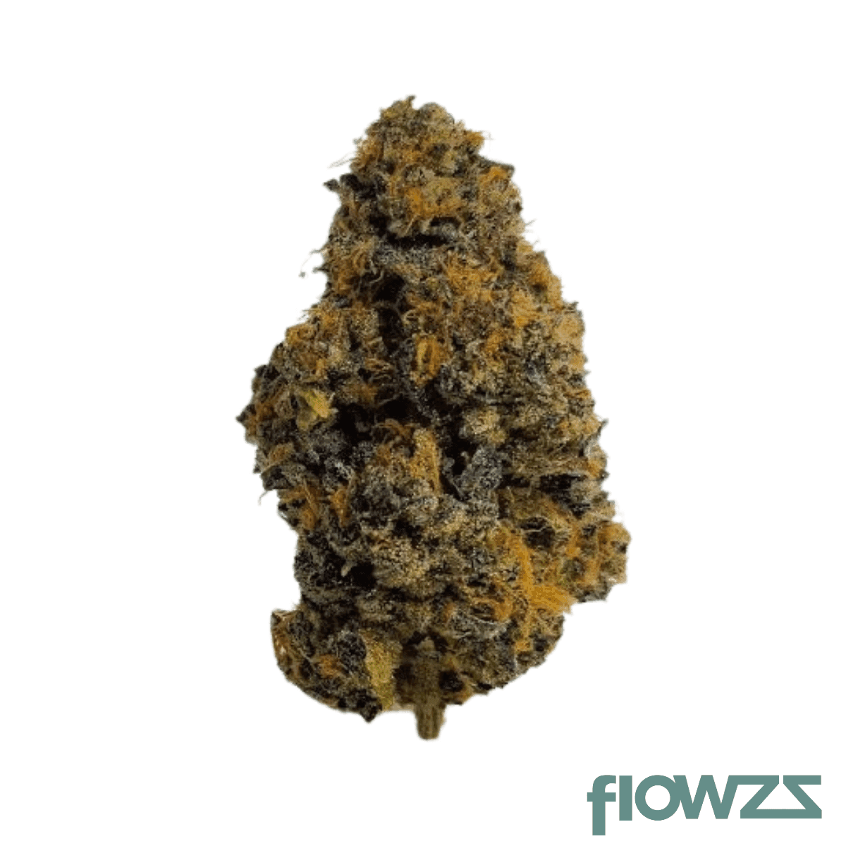 amber-yellow-27-1-black-amber