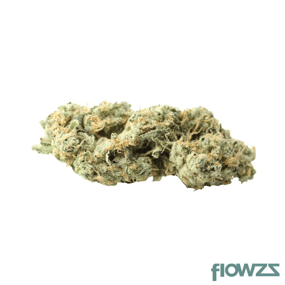 Huala 27/1 CA ALM Alien Mints