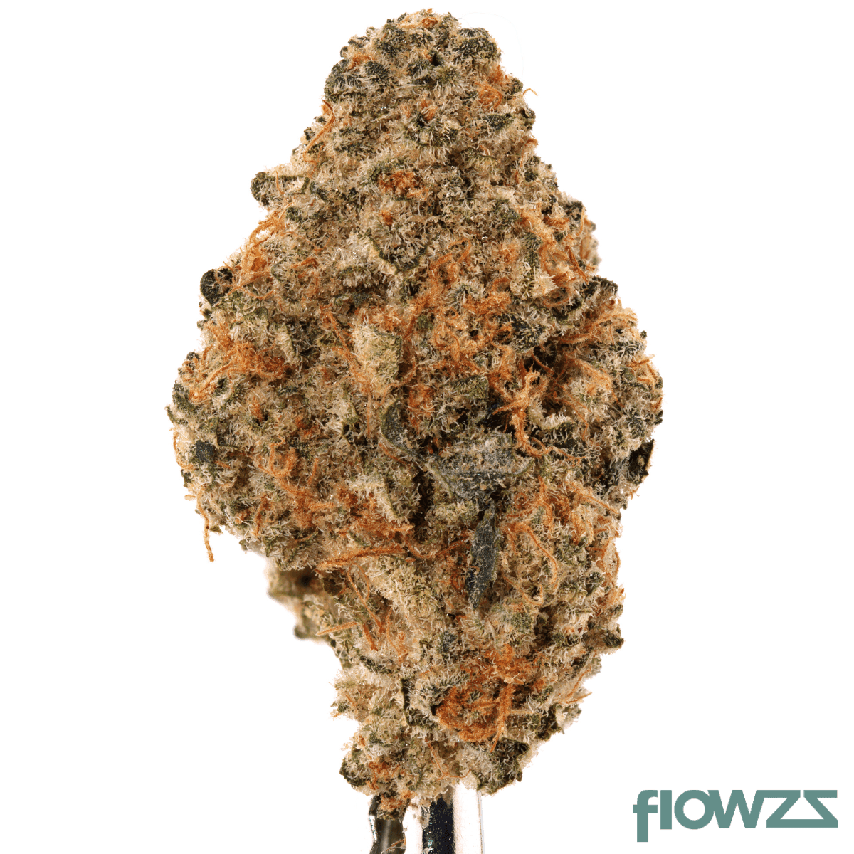 cannabis-27-1-cgd-ku-blue-slushie