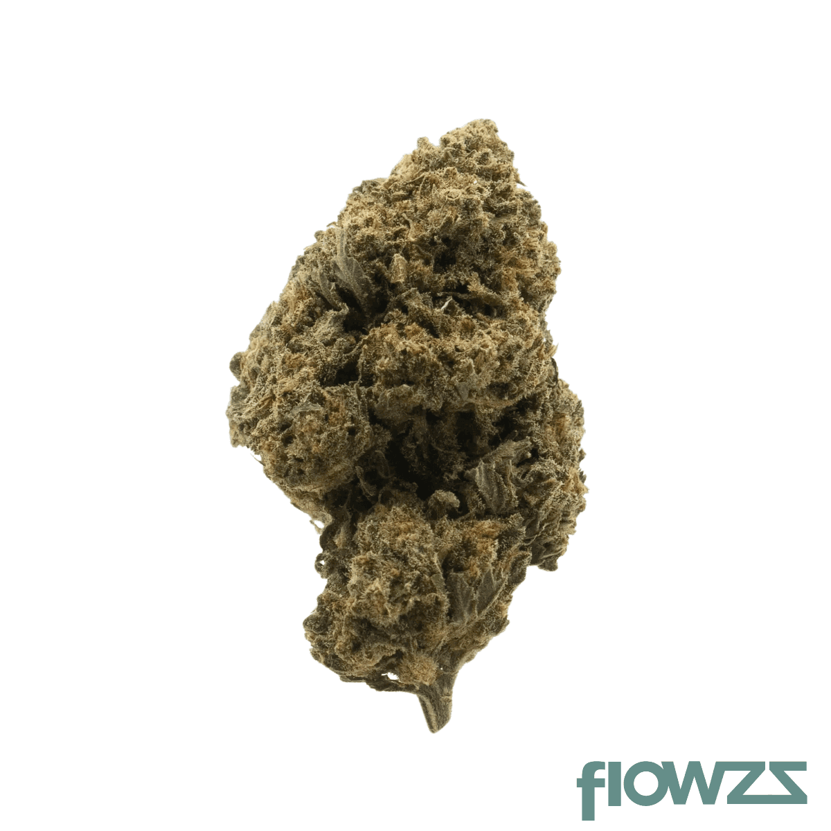 black-shadows-28-1-kings-kush
