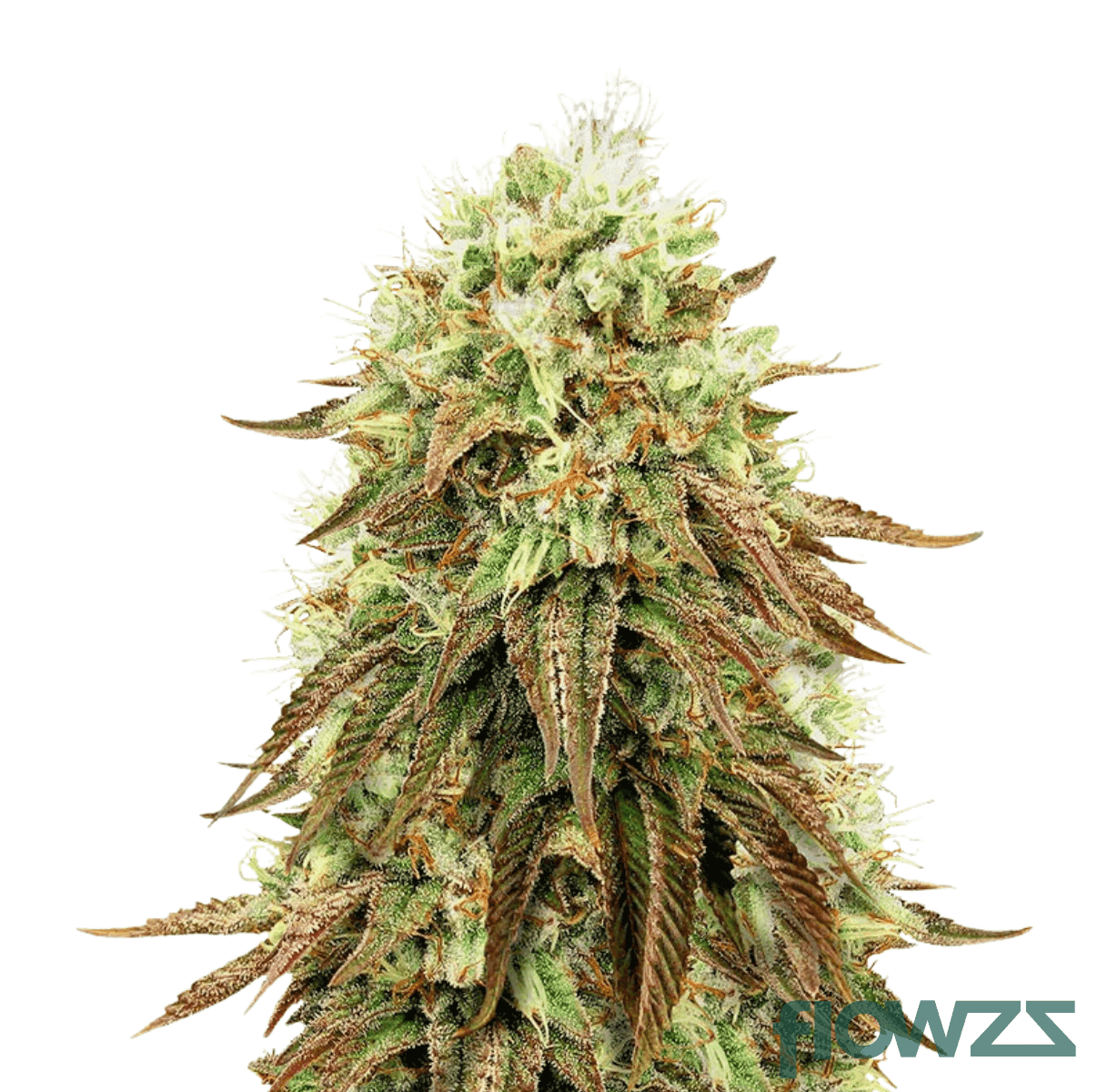 death-bubba