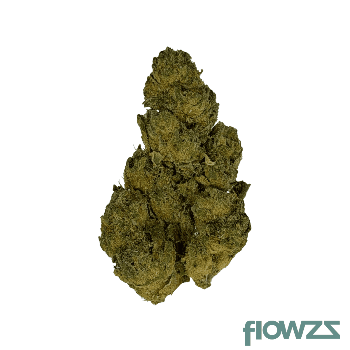 skk-ro-26-1-rosay