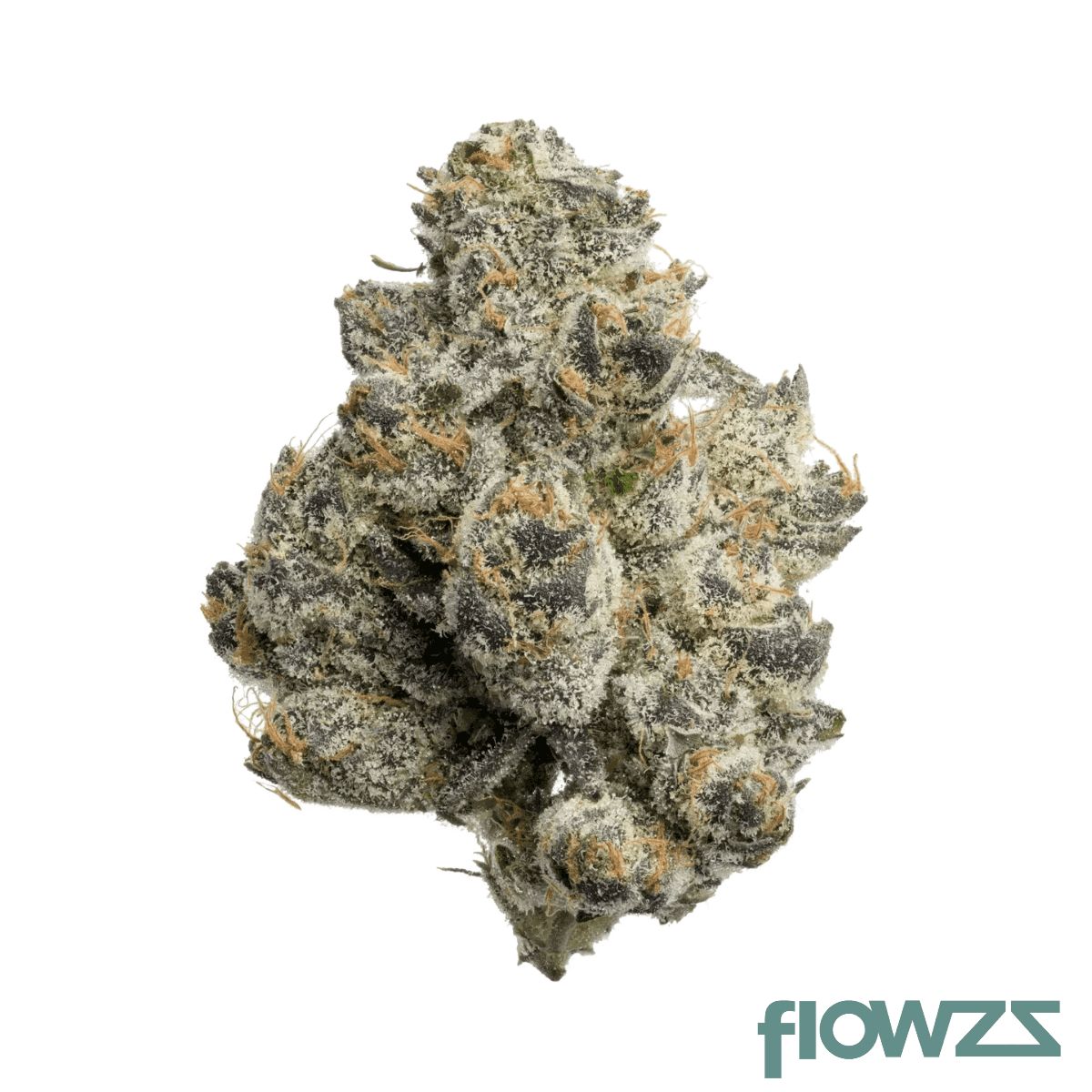 nice-30-1-gcr-gelato-crust