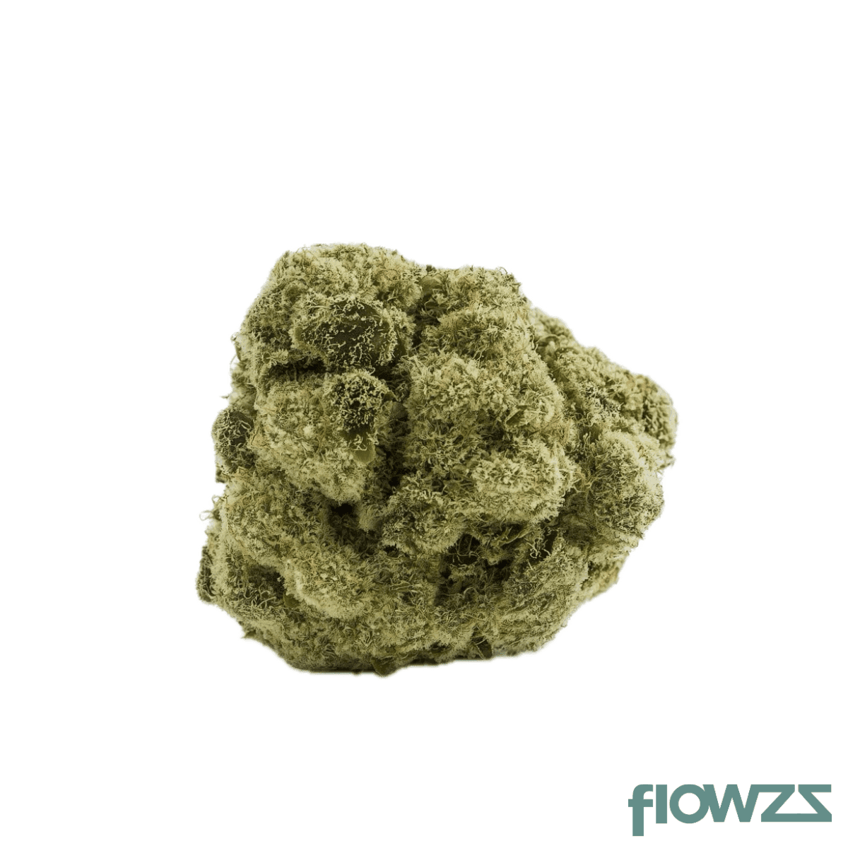 materia-and-16-1-andes