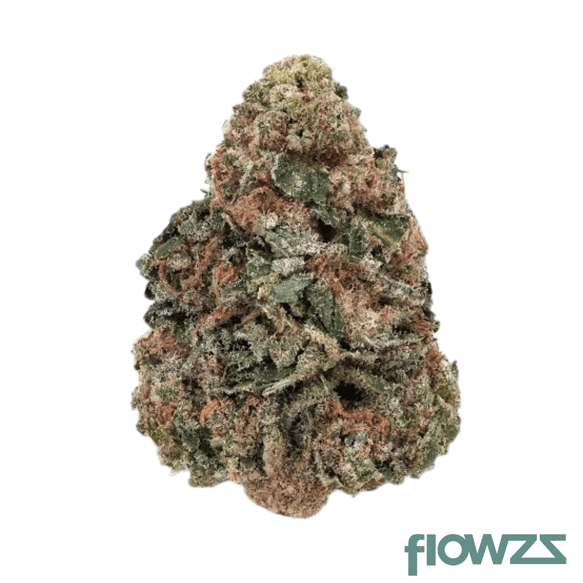 high-society-ck-28-1-creamy-kush