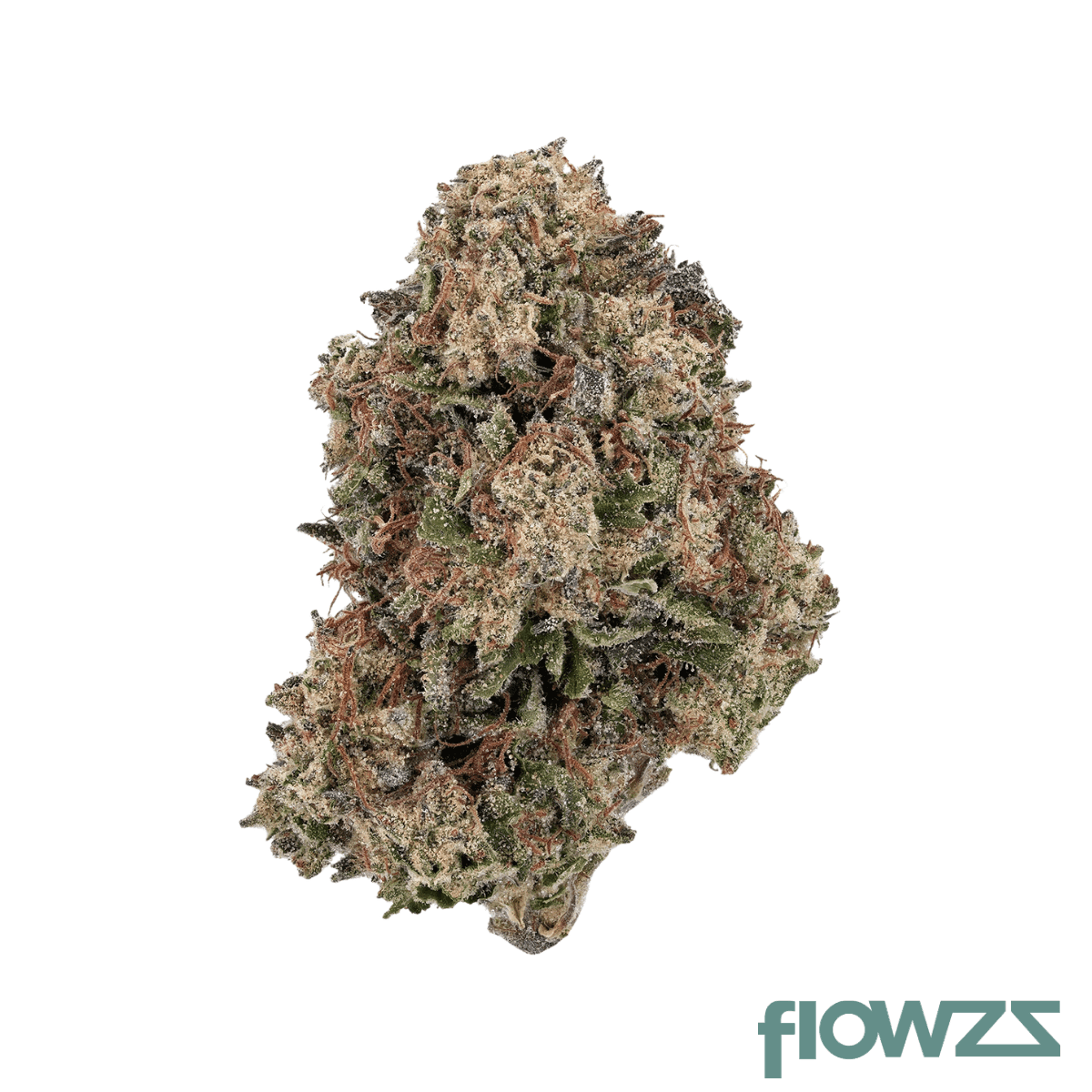 apollo-33-1-euf-delicata-cookies