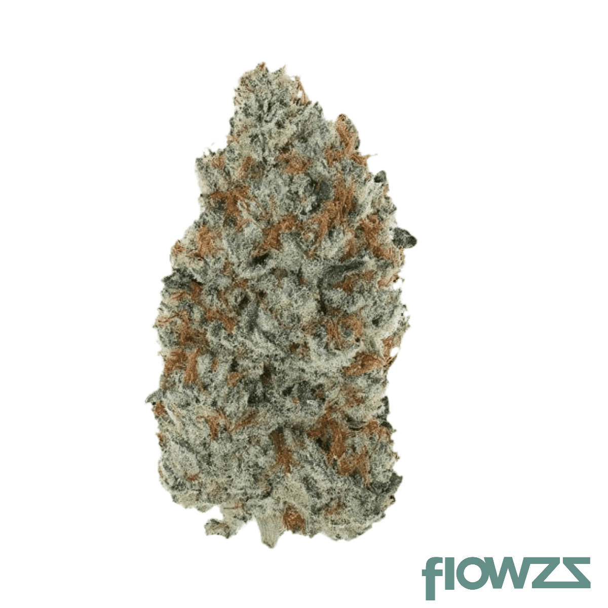 pheno-22-1-izd-inzane-diesel