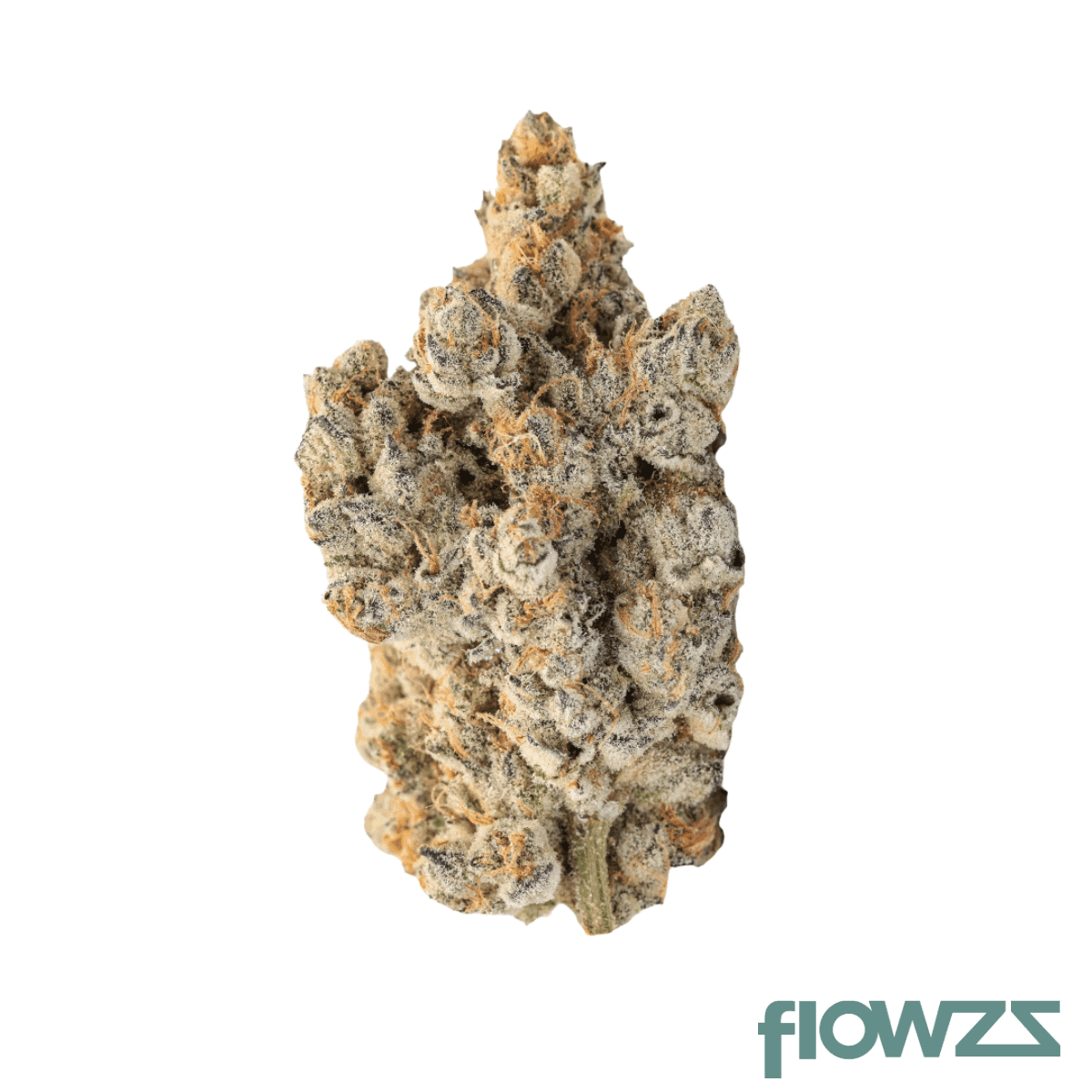 barongo-32-1-sor-sfv-og-x-candy-rain