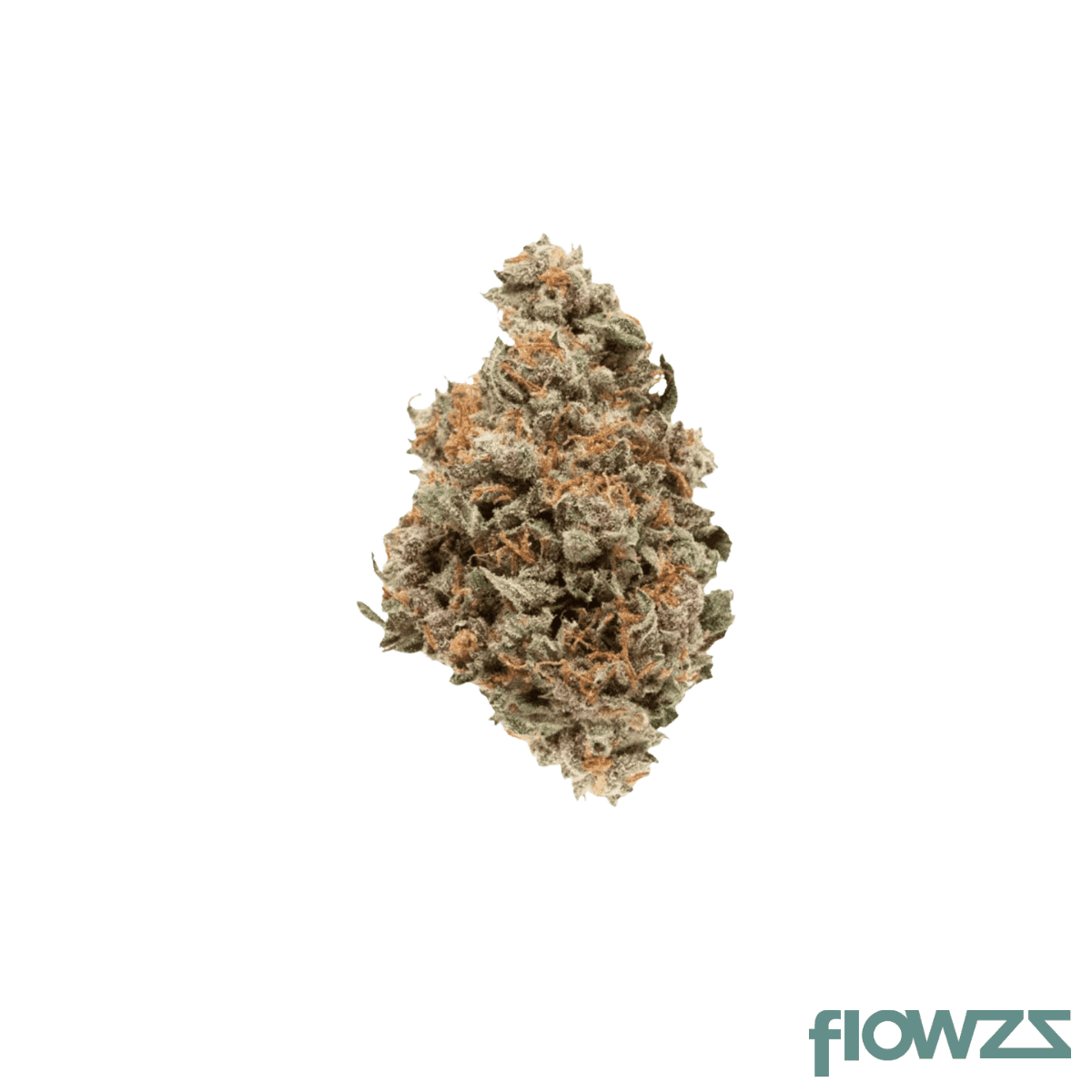 demecan-craft-tigerz-eye-31-1-jokerz-31-x-gastro-pop