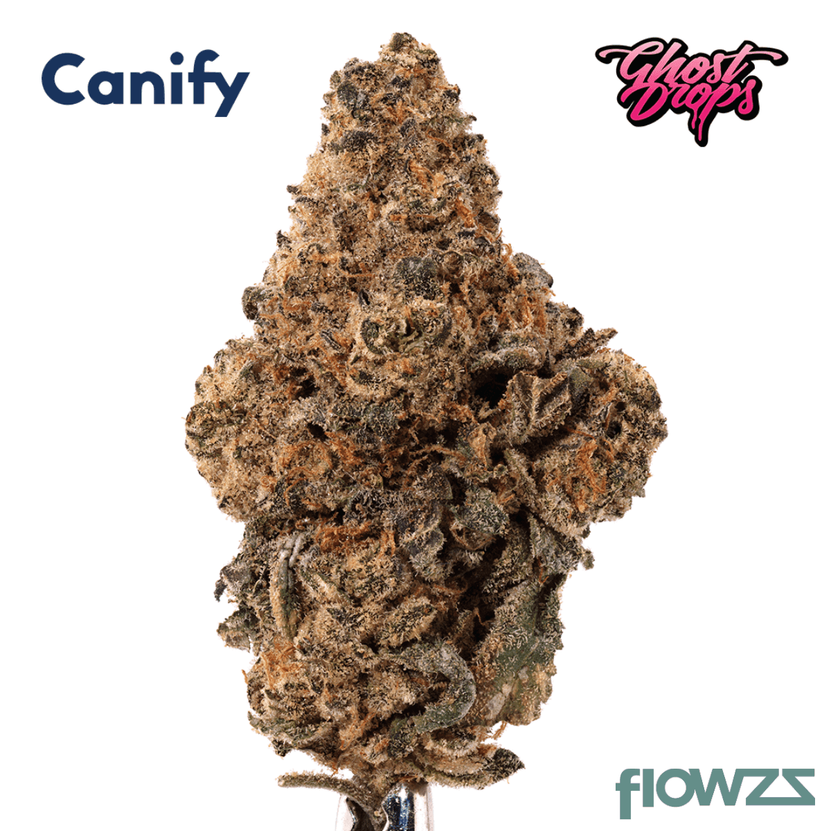  Cannabis flos 27/1 CGD Ku. Super Squishee mit Logo