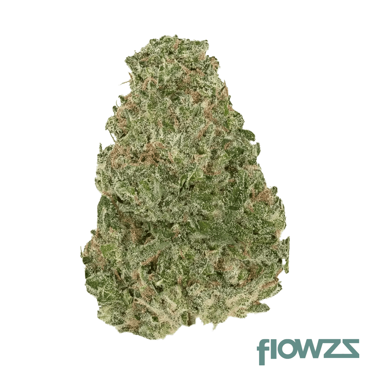 mgf-22-1-ash-gray