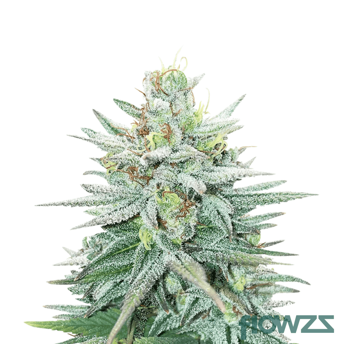 blue-freeze-slurpy