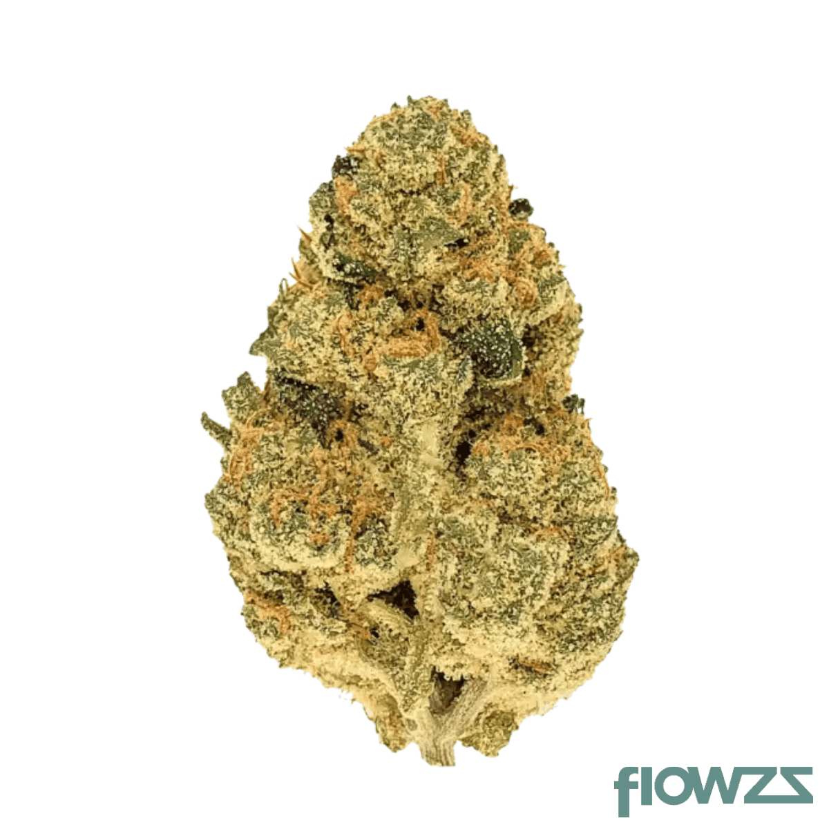 beacon-wp-t-22-blueberry-pancakes