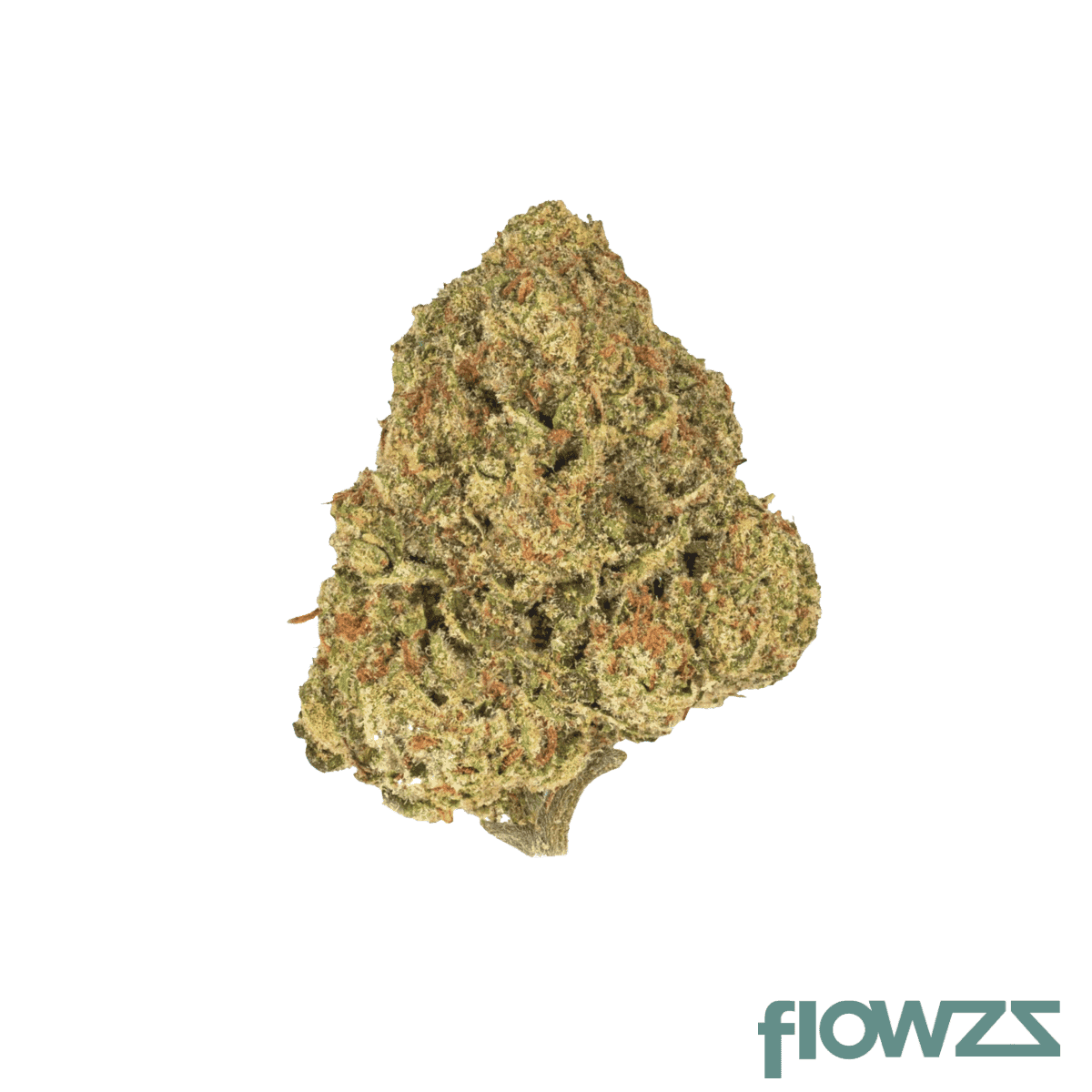 abby-leaf-27-1ctl-cactus-leaker
