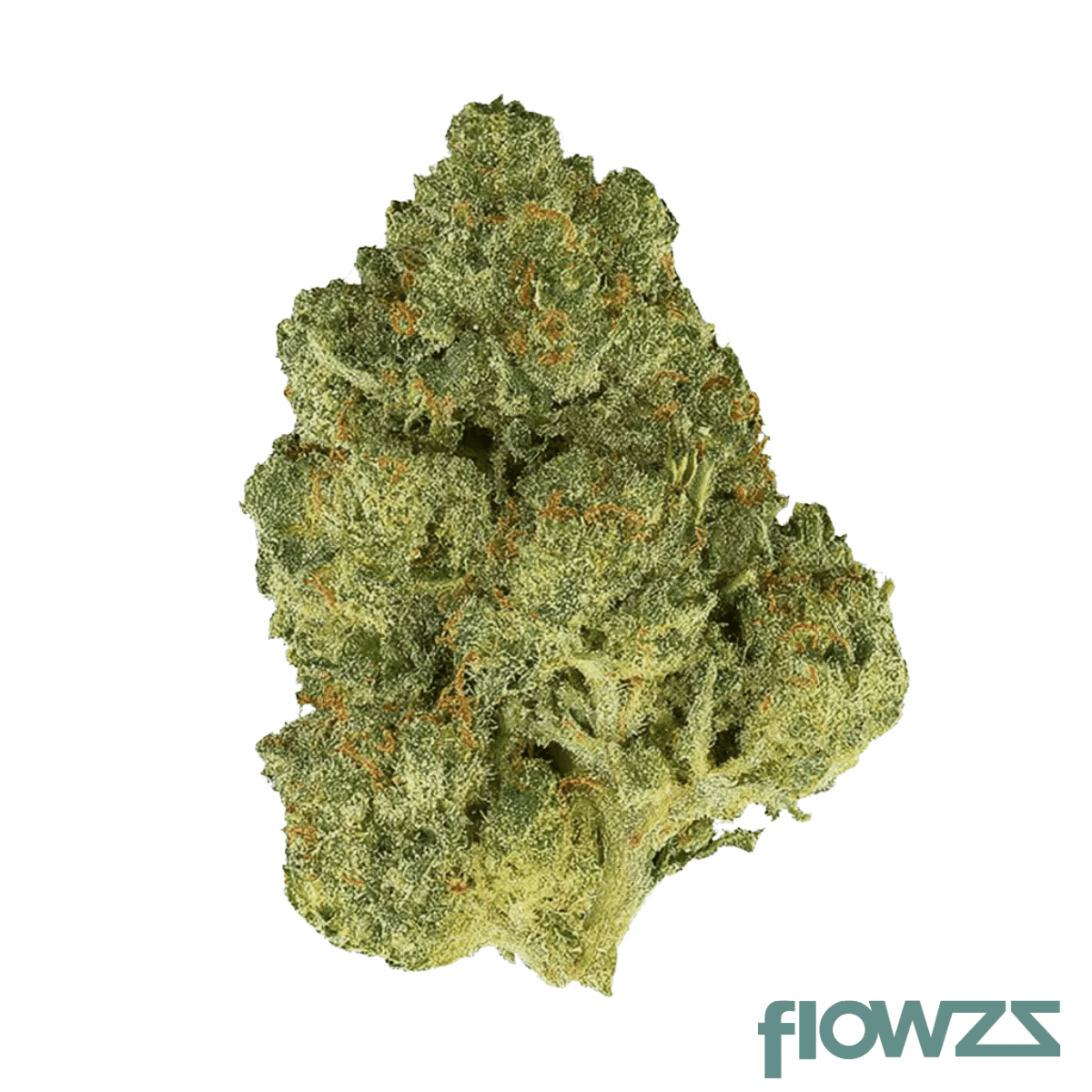 dona-27-guava-bomba