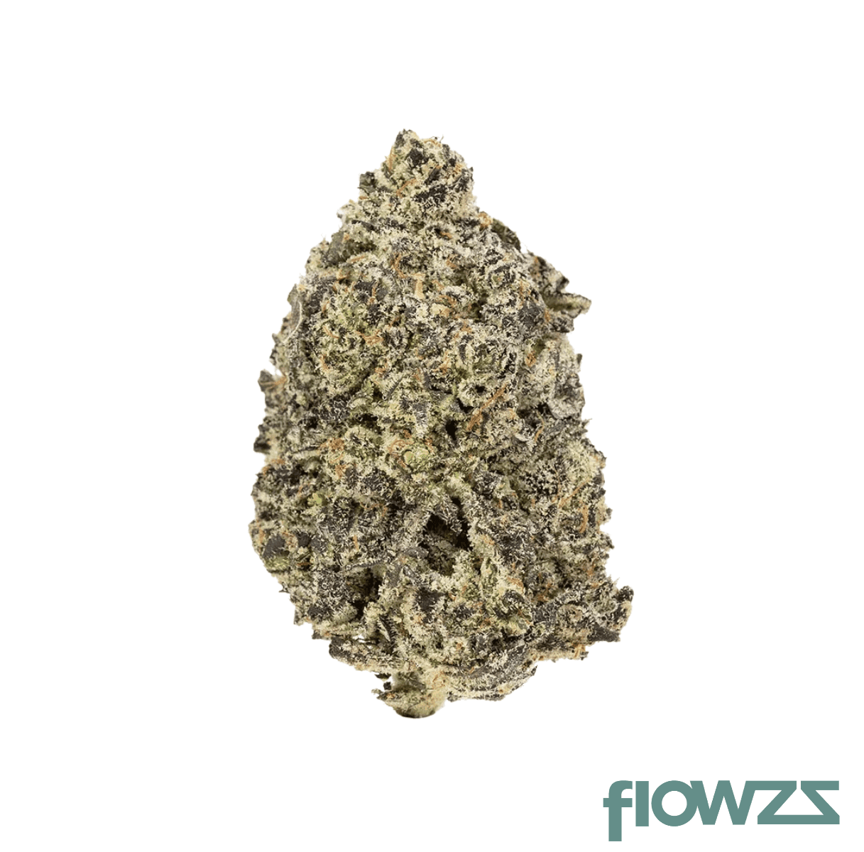 cookies-35-1-2090