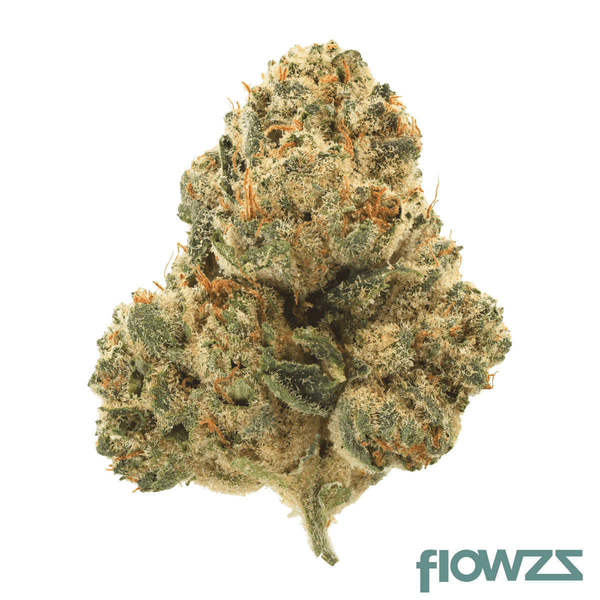 gramz-pp-36-1-purple-paris