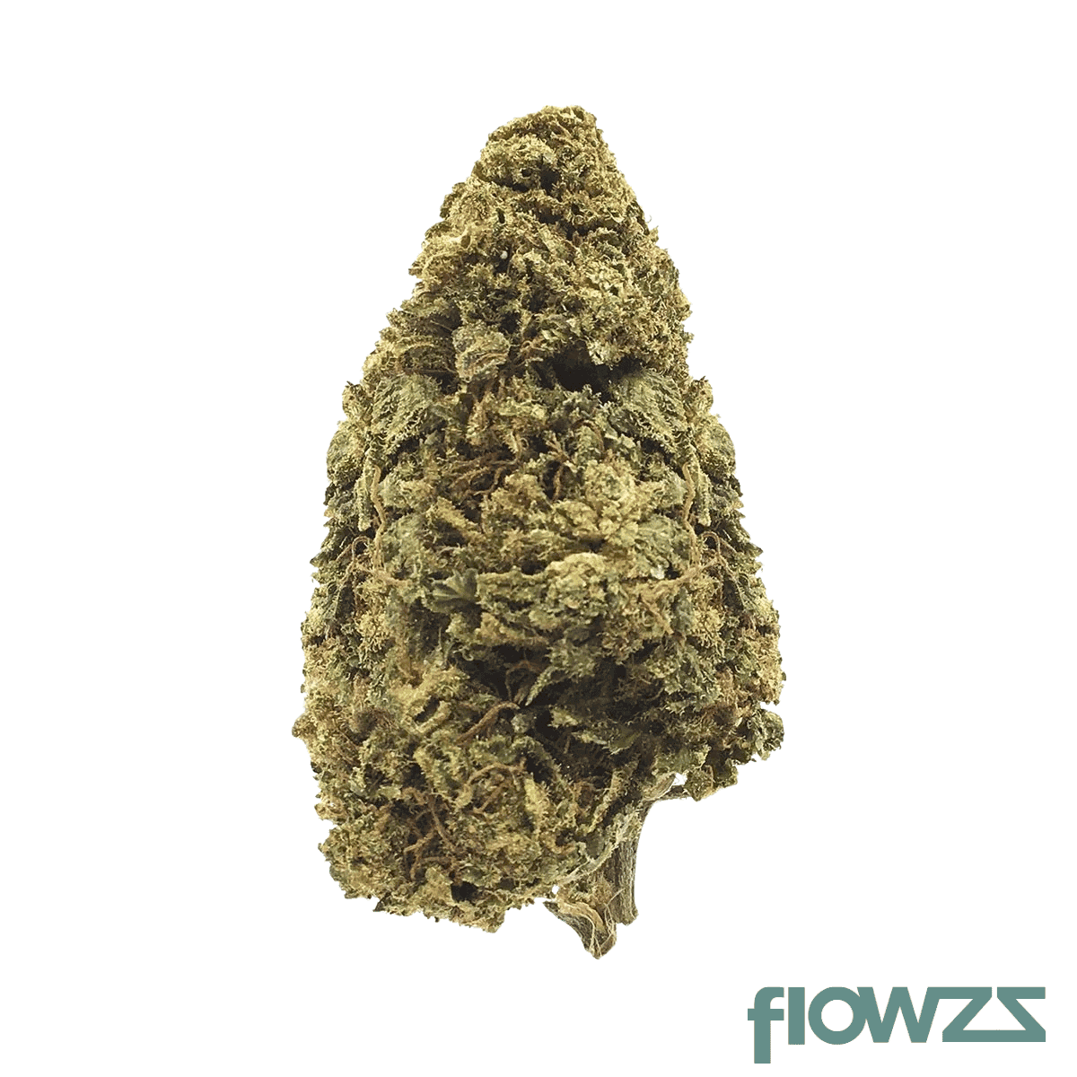 care-cannabisflower-gel-thc-20-gelatti