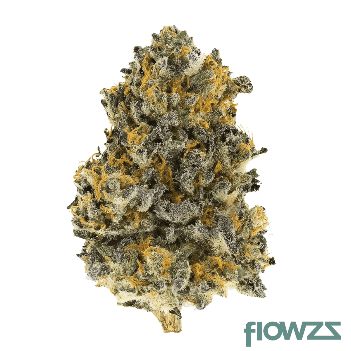 canify-22-1-cl-papaya-bomb