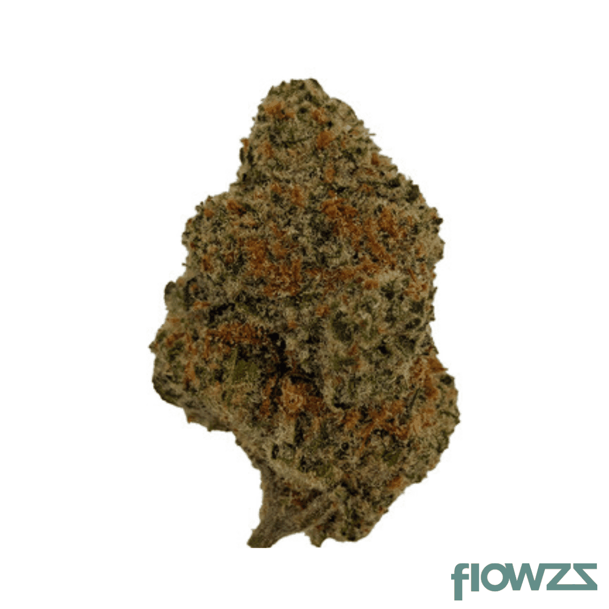 sibanax-moe-zilla-30-1