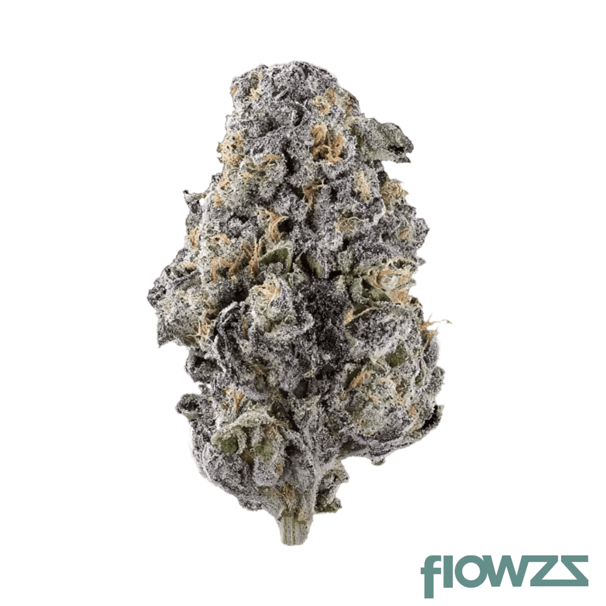 drwatson-31-am-aus-alien-mint