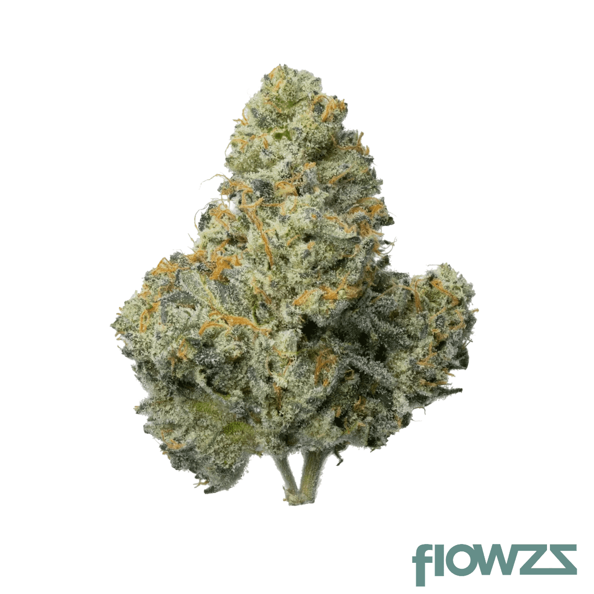 pop-pp-no-35-white-runtz