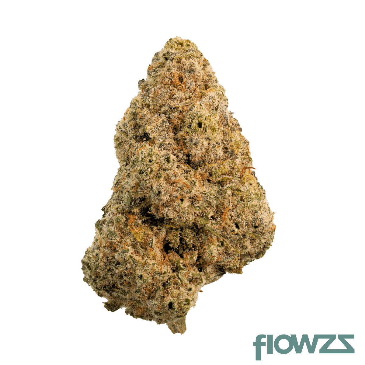 all-nations-gfo-31-1-godfather-og