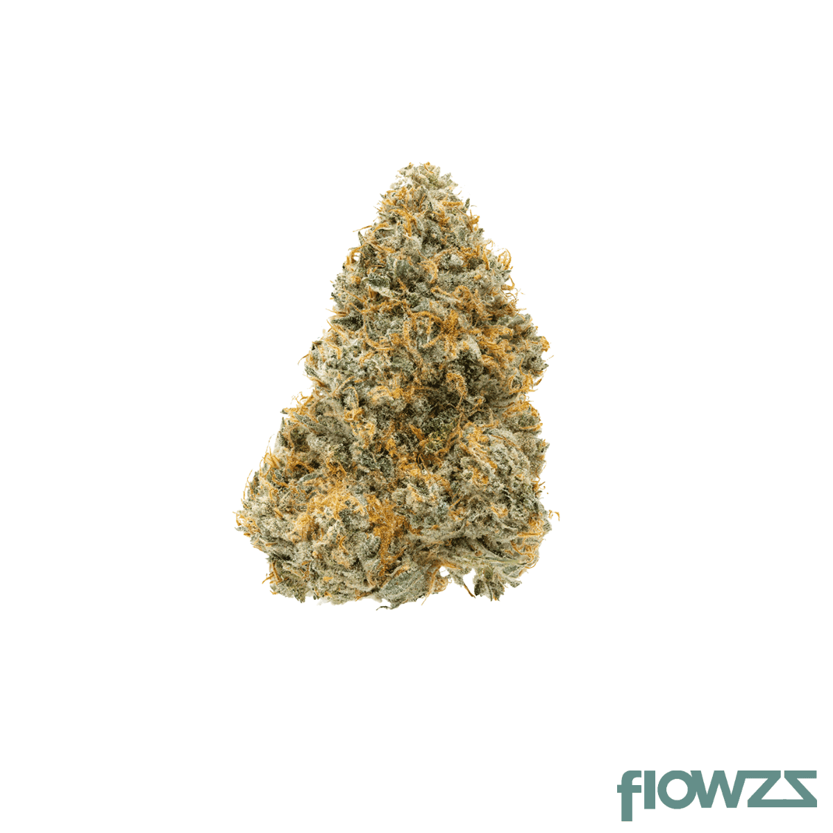 pop-up-no47-thc-rich-metaverse
