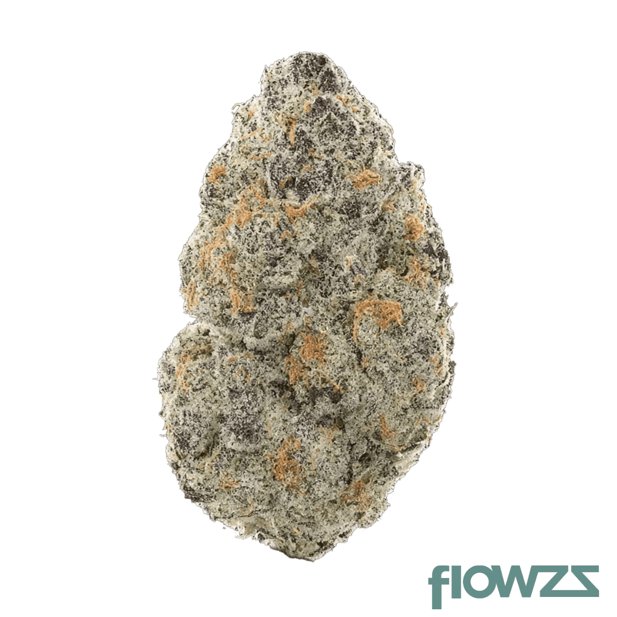canngo-sck-27-1-scottis-cake-by-the-bc-green
