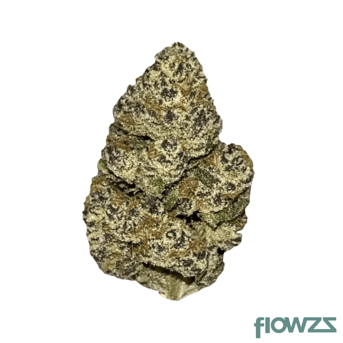 no-xviii-20-1-baklava