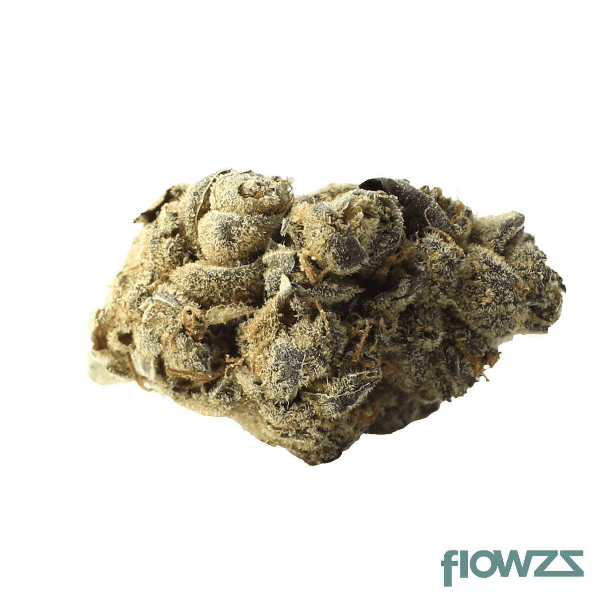 weeco-26-1-big-purple-dragon