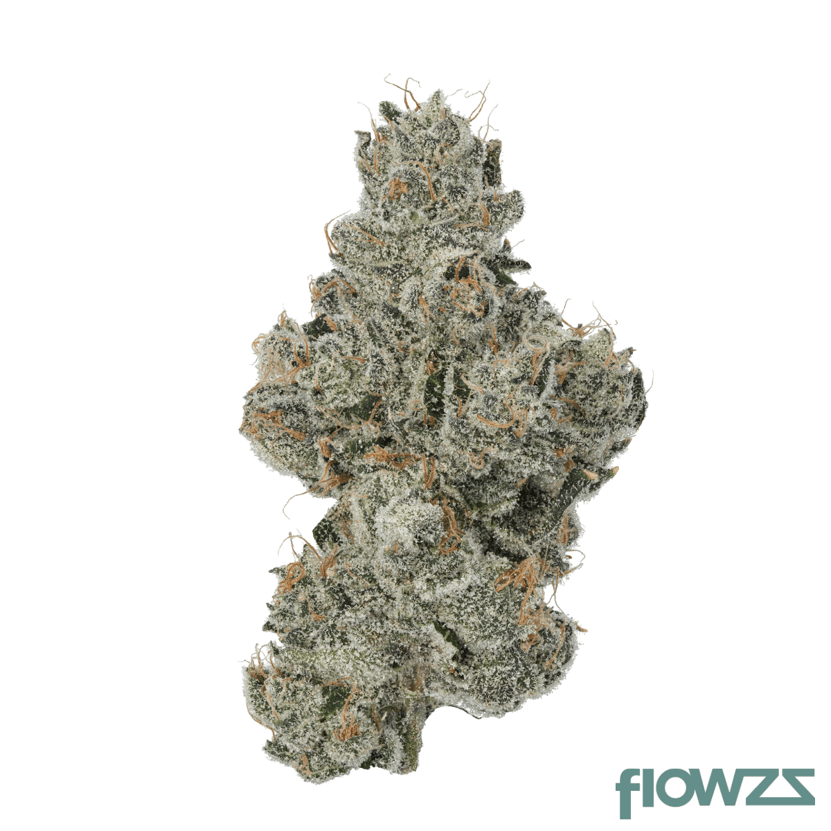 materia-bc-21-1-bananaconda