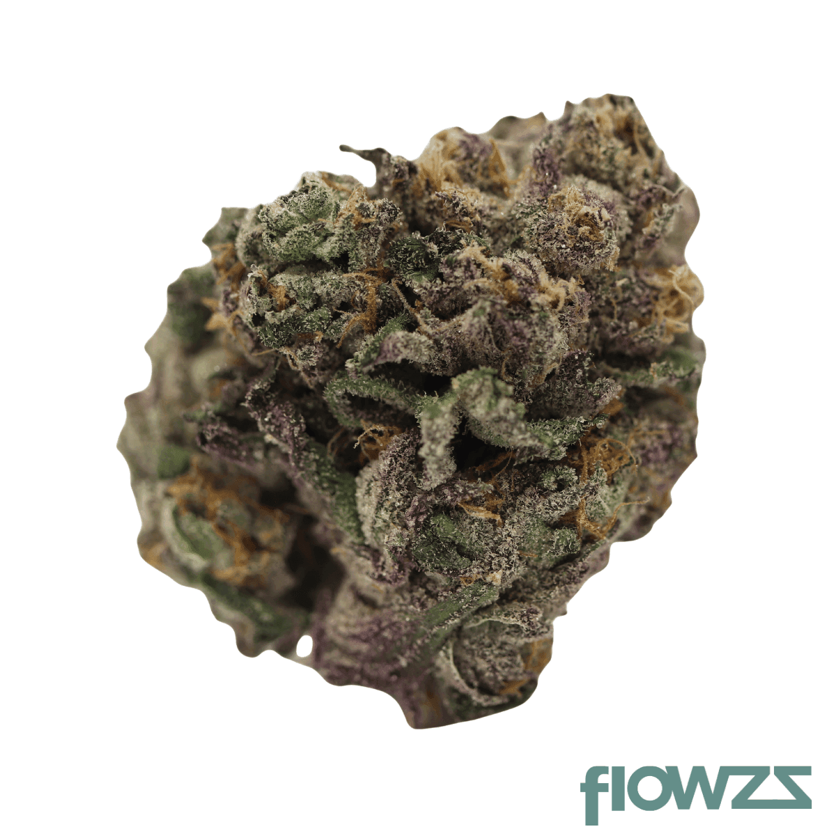redecan-thc-30-brz-biscuit-rntz