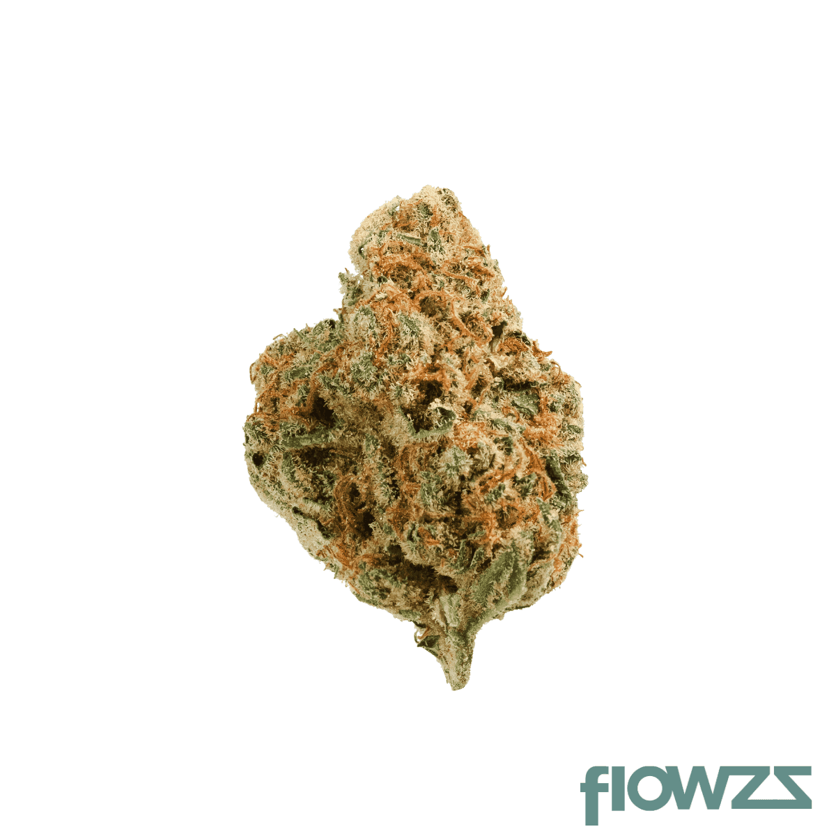 Vayamed Day 19/1 TNG Tangie