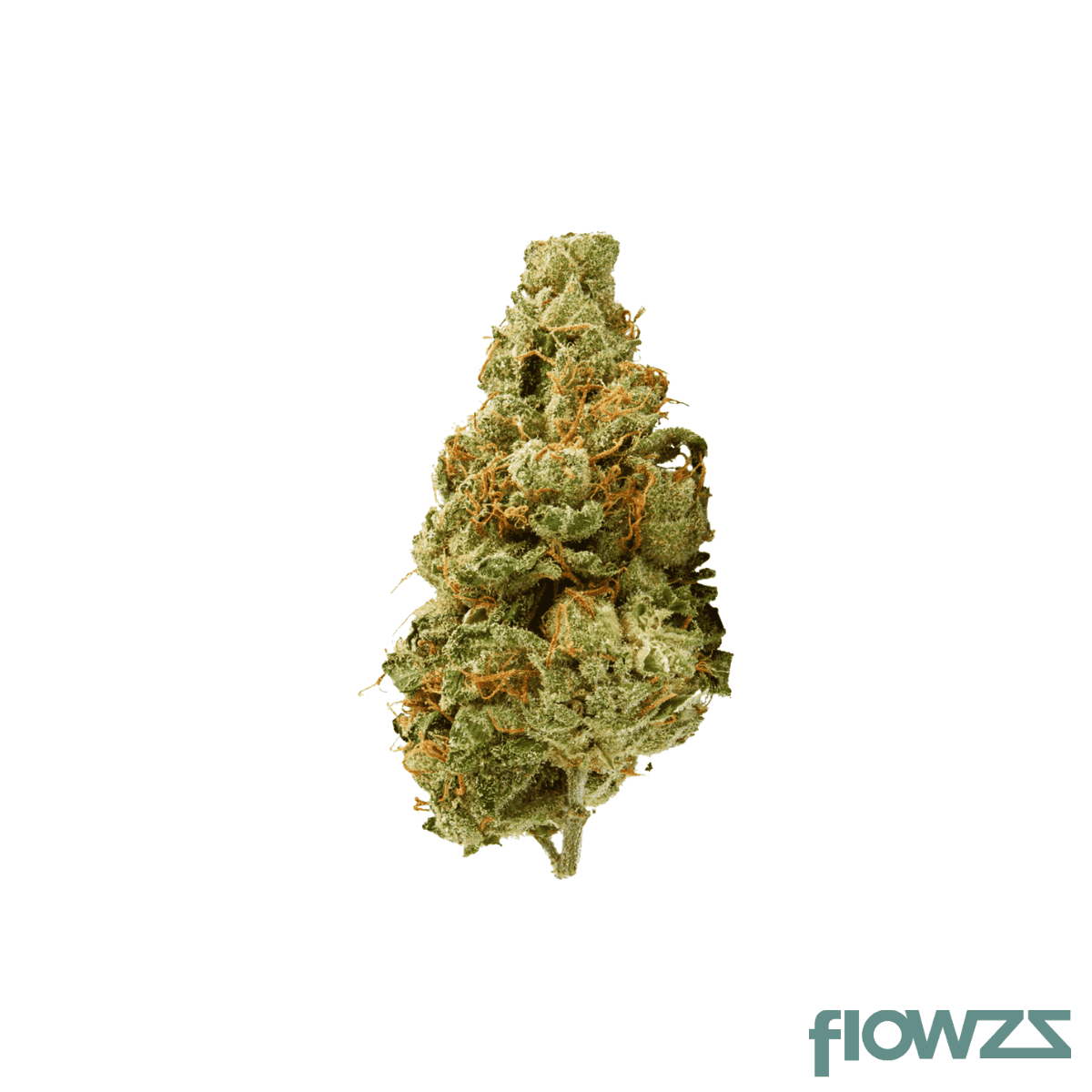 demecan-core-golden-horizon-30-1-golden-goat