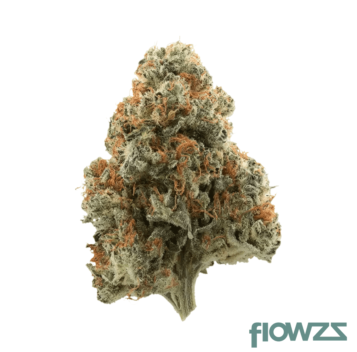entourage-5280-blueberry-redbull-25-1