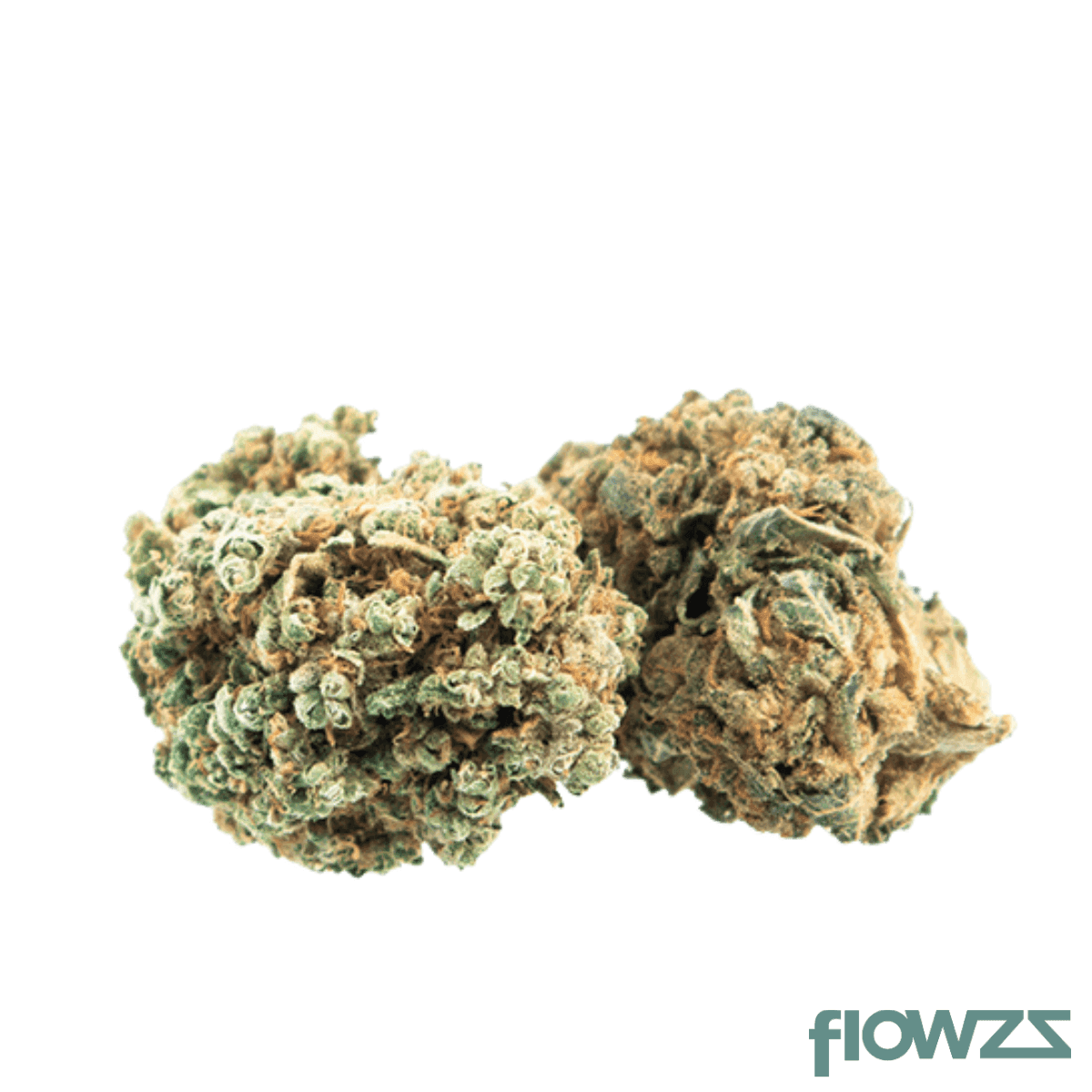 no-xix-22-1-chocolate-mint