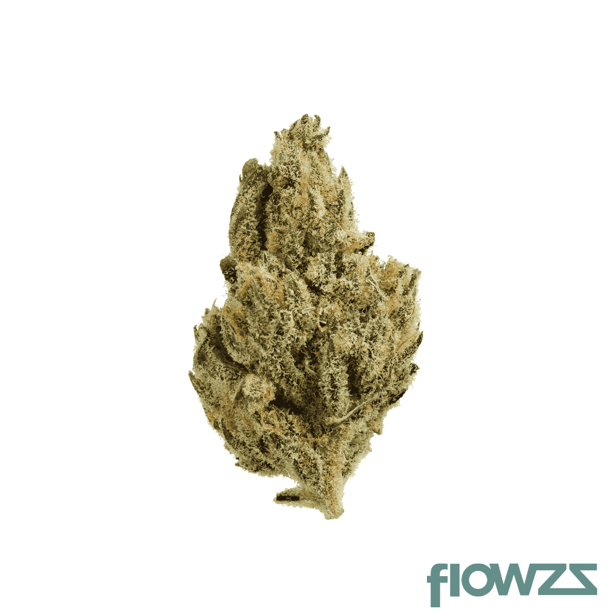 Vayamed Night 19/1 PYC Peyote Critical