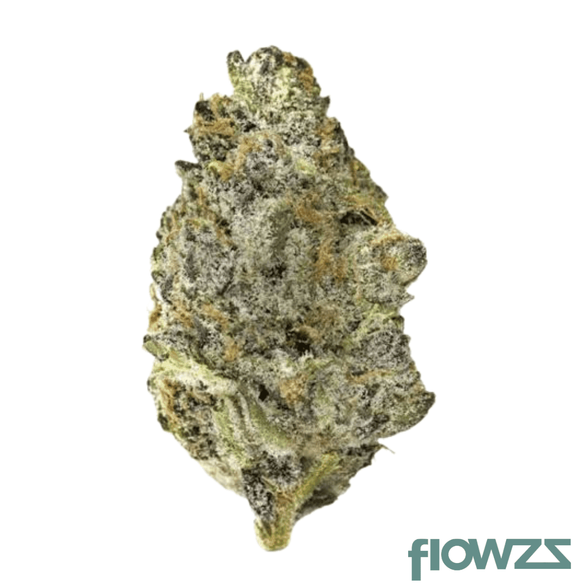nimbus-easy-25-1-super-boof