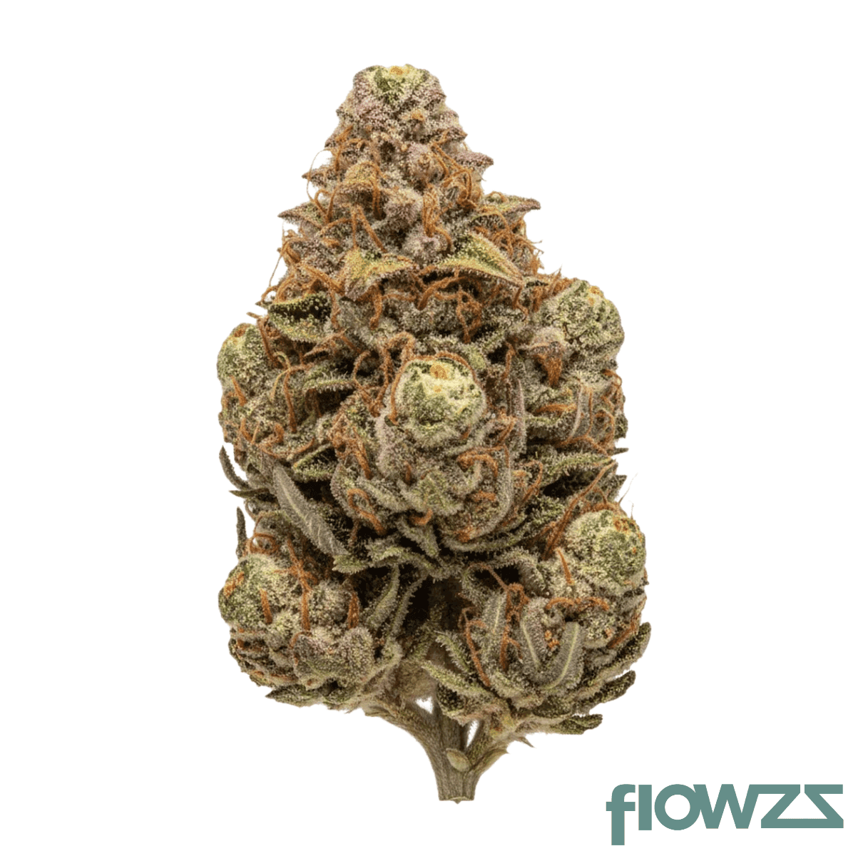 cannamedical-hybrid-forte-ka-citrus-candy-kush