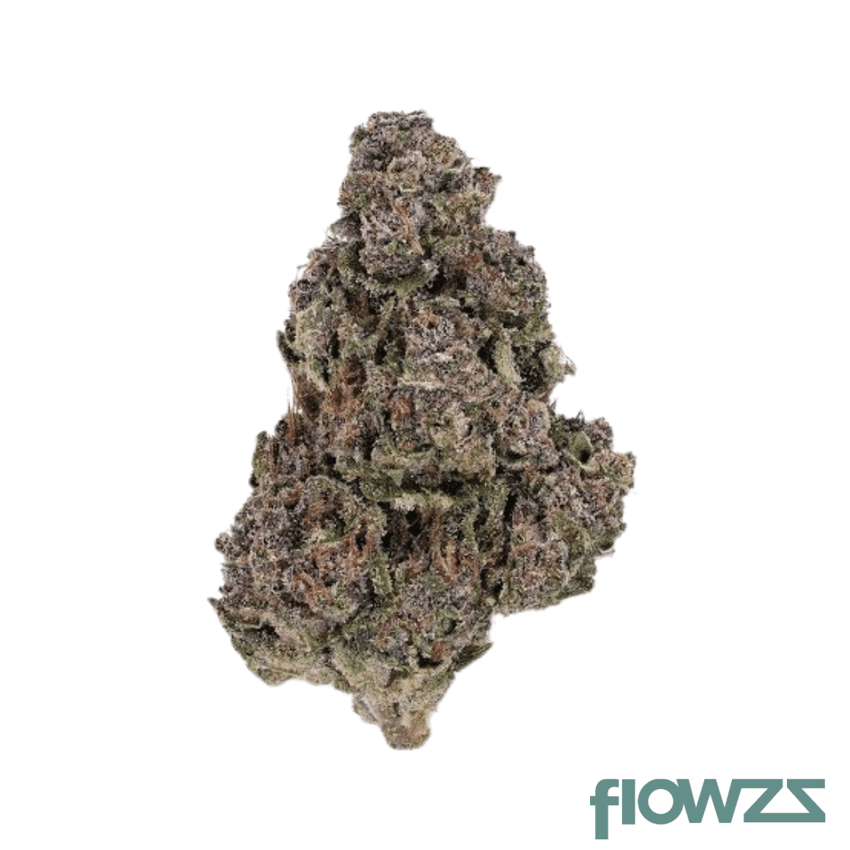 apex-chy-ca-26-1-choc-monkey