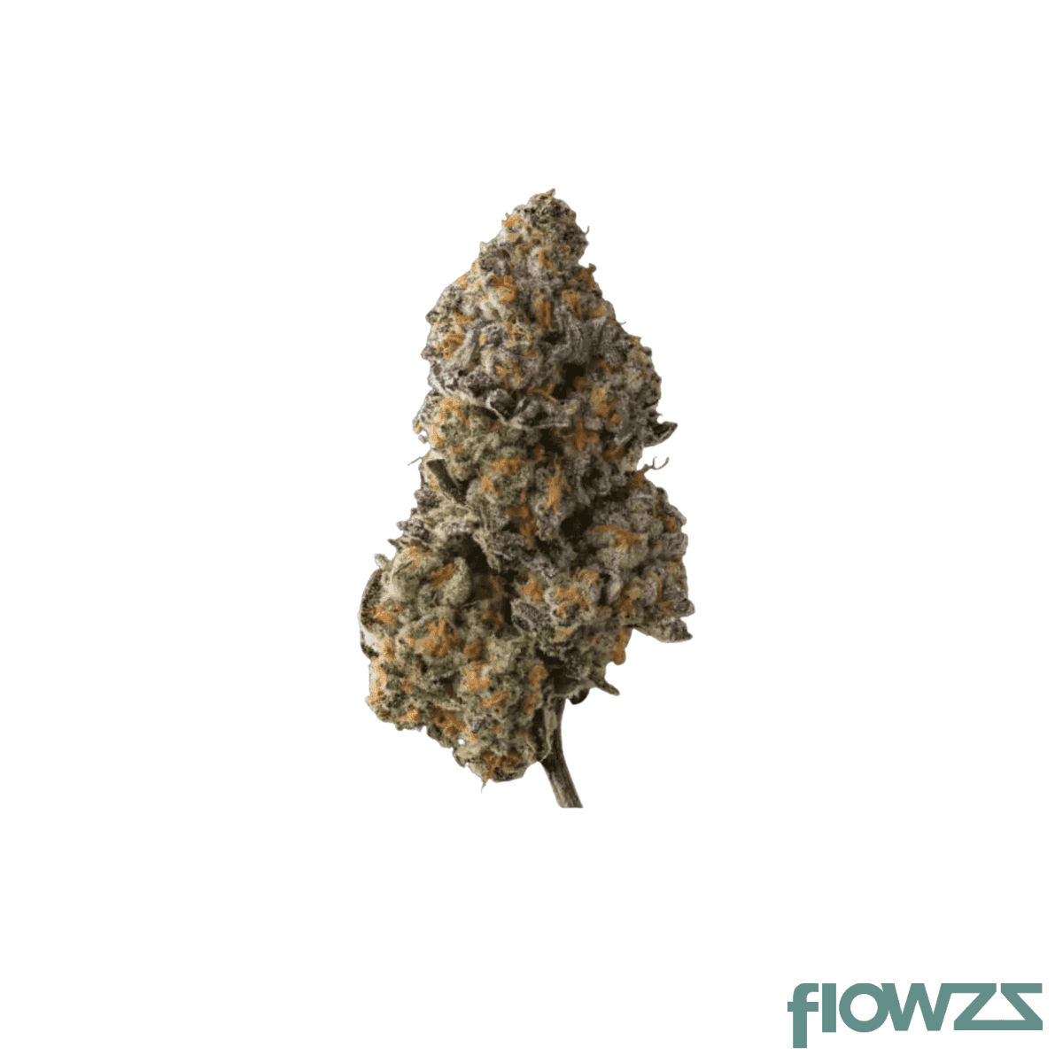 420-evolution-33-1-ca-scm-scented-marker